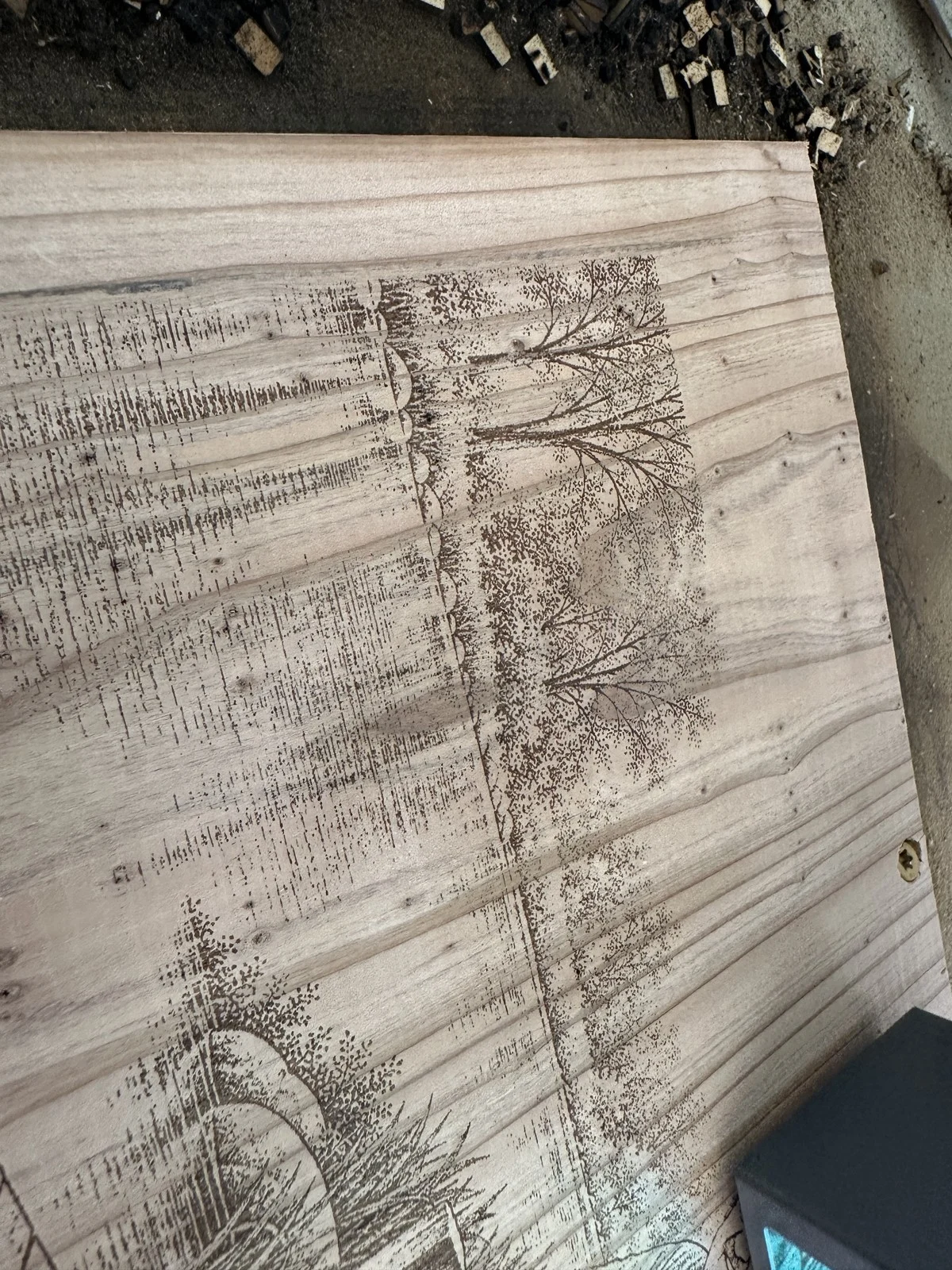 Close-up of a portrait engraved into cedar